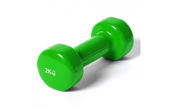 Гантель Sportex виниловая York 2,0 кг B35016 зеленая 600_380