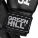 Боксерские перчатки Green Hill GYM BGG-2018RU1 черный 75_75