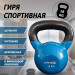 Гиря в виниловой оболочке 18 кг Fitex Pro FTX2201-18 75_75