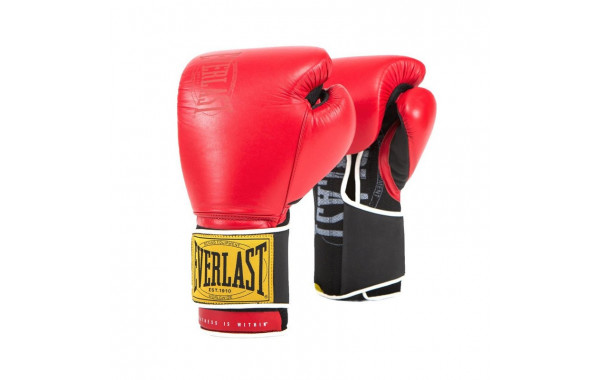 Боксерские перчатки Everlast 1910 Classic 14oz красный P00001707 600_380
