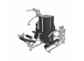 Мультистанция UltraGym UG-1306