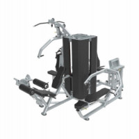 Мультистанция UltraGym UG-1306