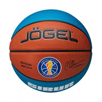 Мяч баскетбольный Jogel Pro Training ECOBALL 2.0 Replica р.5