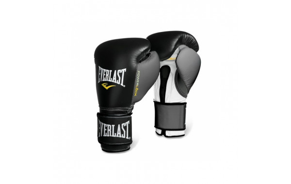 Боксерские перчатки Everlast Powerlock 16 oz черный/серый 2200755 600_380