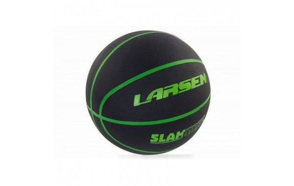 Мяч баскетбольный Larsen Slam Dunk р.7 600_380