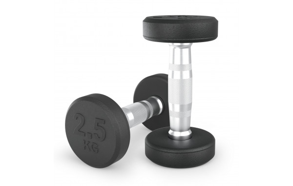 Гантель круглая обрезиненная 2,5 кг UnixFit PRO DBRND2_5PBKx2 2 шт 600_380