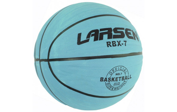 Мяч баскетбольный Larsen RBX7 Indigo р.7 600_380
