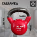 Гиря в виниловой оболочке 10 кг Fitex Pro FTX2201-10 75_75