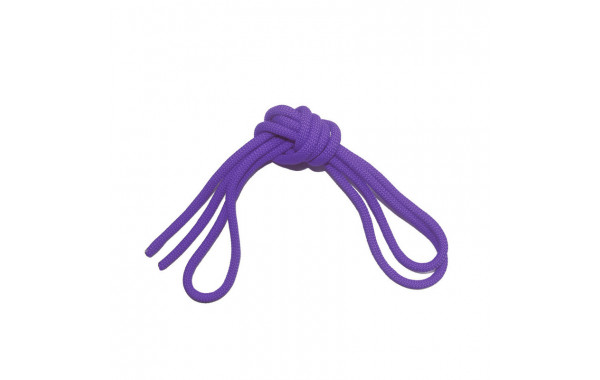 Скакалка гимнастическая Body Form BF-SK01 (BF-JRG01) 2.5м, 150гр (фиолетовый) 600_380