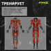 3-х позиционная станция Fitex Pro MEXICO FTX-5203 75_75