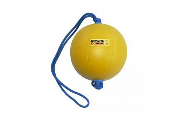Функциональный мяч 6 кг Perform Better Extreme Converta-Ball 3209-06-6.0 желтый 600_380