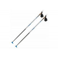 Лыжные палки Spine (181) X-Rider (Карбон 60%+Стекло 40%) (серый/черный)