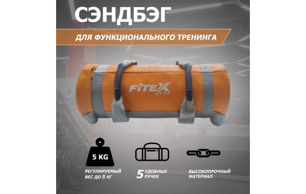Сэндбэг 5кг Fitex Pro FTX-1650-5 600_380