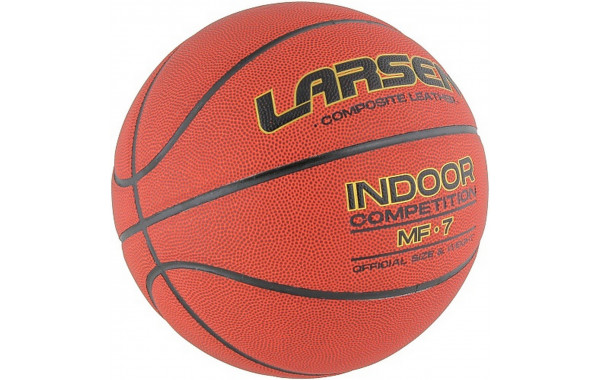 Мяч баскетбольный Larsen MF-7 р.7 600_380