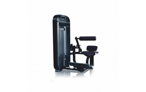 Разгибание спины UltraGym UG-DM503 600_380