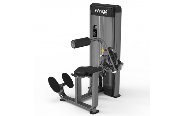 Разгибатель спины Fitex Pro FTX-61F17 600_380