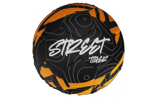 Мяч футбольный Atemi TIGER STREET ASBL-007S-5 р.5, окруж 68-71 600_380