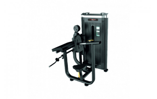Бицепс\трицепс UltraGym UG-IN1990 600_380