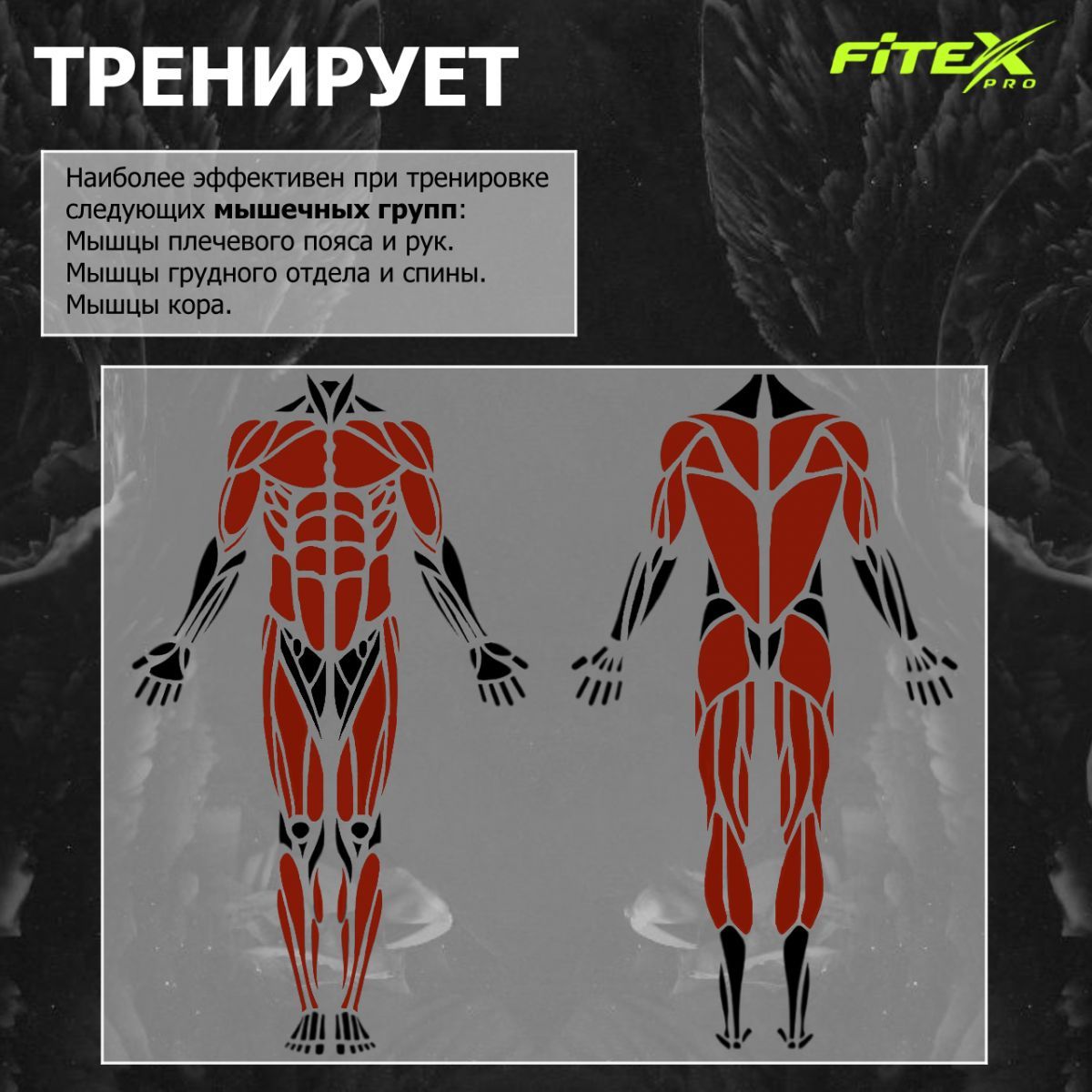 4-х позиционная станция Fitex Pro LUGANO FTX-5205 1200_1200