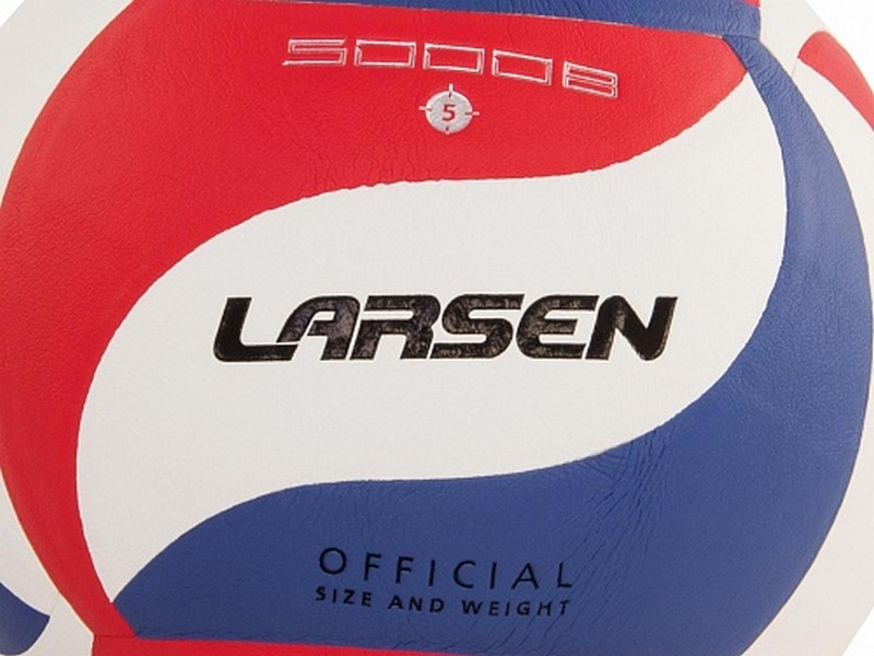 Мяч волейбольный Larsen VB-ECE-5000B р.5 800_600
