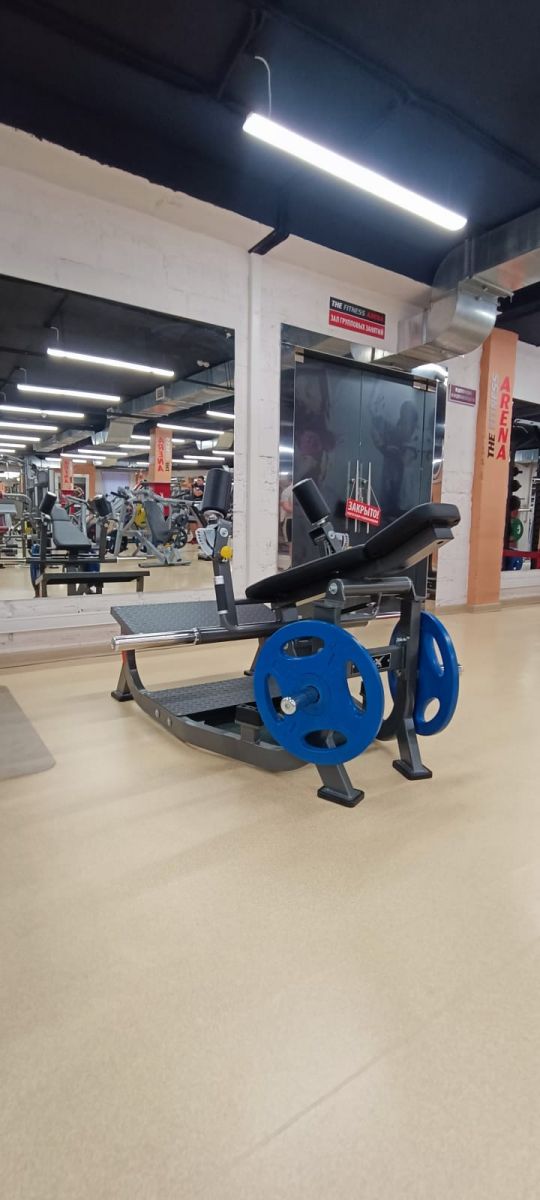 Ягодичный мостик Fitex Pro FTX-82032 540_1200