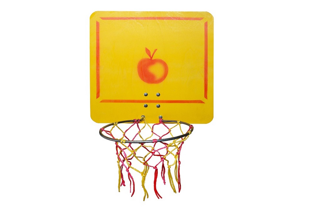 Кольцо баскетбольное со щитом Пионер 1199_800