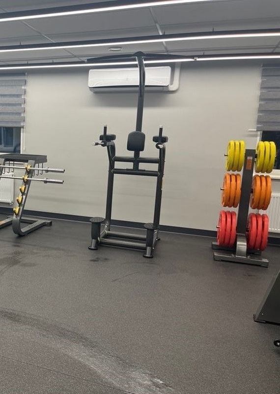 Подставка под диски Fitex Pro FTX-FB54 570_800