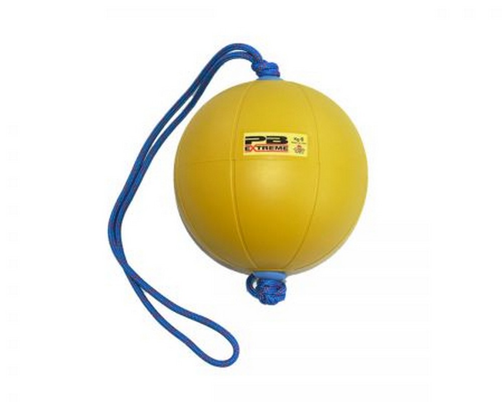 Функциональный мяч 6 кг Perform Better Extreme Converta-Ball 3209-06-6.0 желтый 1000_800