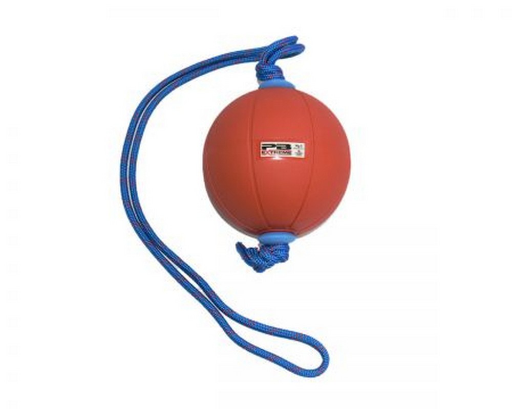 Функциональный мяч 6 кг Perform Better Extreme Converta-Ball 3209-06-6.0 желтый 1000_800