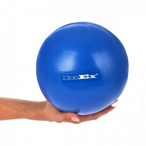 Пилатес-мяч Inex Pilates Ball IN\RP-PFB25\GY-25-RP, 25 см, серый 513_513