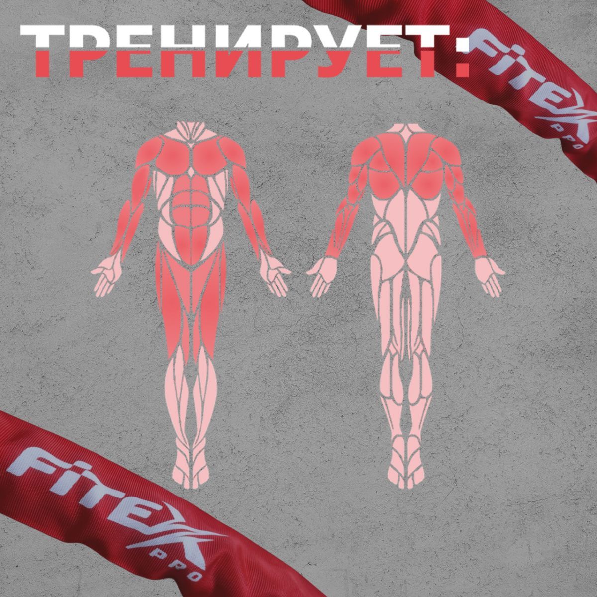 Канат для функционального тренинга V-Sport FTX1379 1200_1200