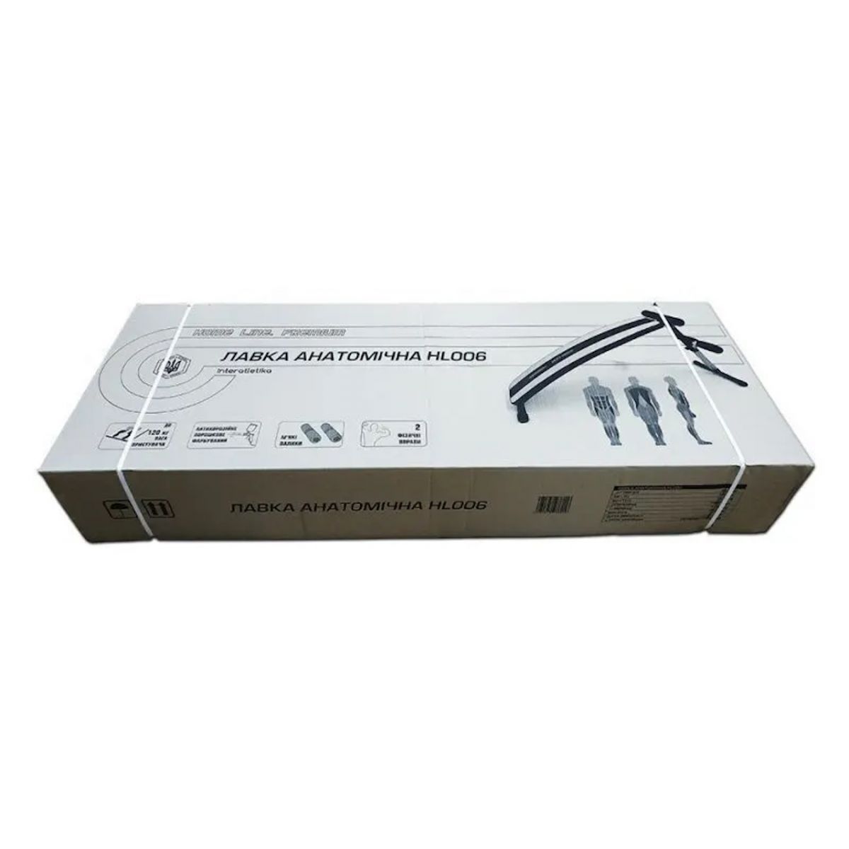 Скамья анатомическая V-Sport HL006 1200_1200
