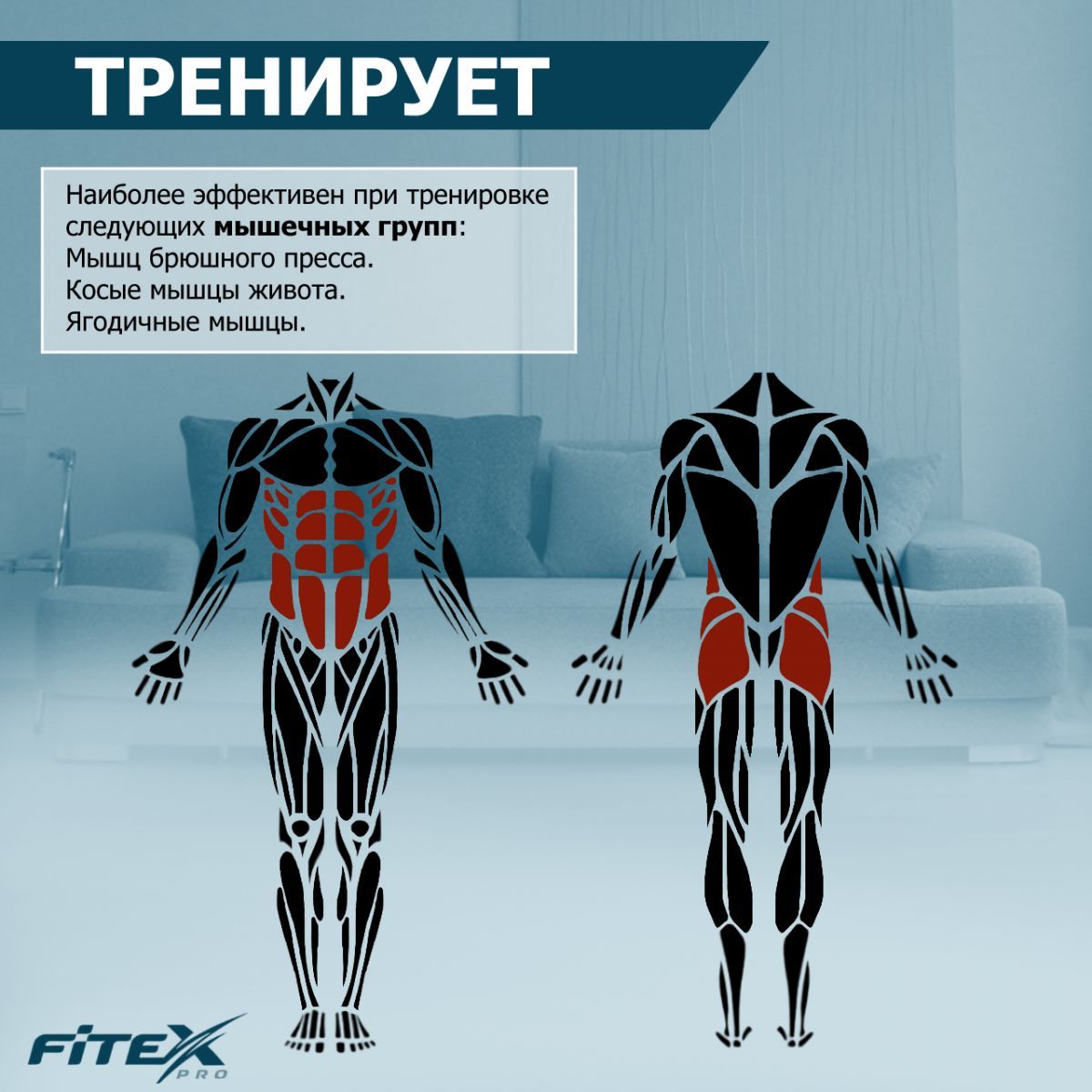 Тренажер для пресса Fitex Pro AB Coaster Club 1200_1200