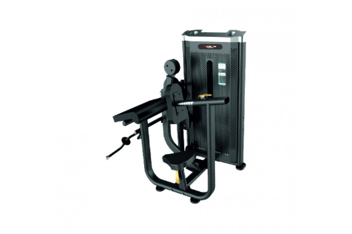 Бицепс\трицепс UltraGym UG-IN1990 1200_800