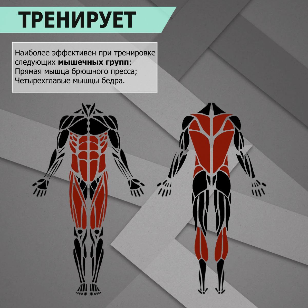 Скамья анатомическая V-Sport HL006 1200_1200