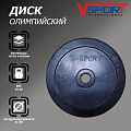 Диск олимпийский V-Sport LB-25 51мм 25кг 120_120