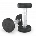 Гантель круглая обрезиненная 2,5 кг UnixFit PRO DBRND2_5PBKx2 2 шт 120_120
