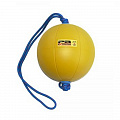 Функциональный мяч 6 кг Perform Better Extreme Converta-Ball 3209-06-6.0 желтый 120_120